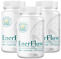 EnerFlow